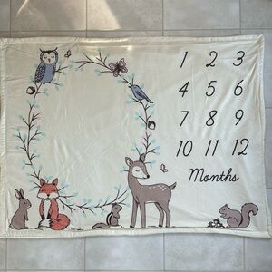 Hudson Baby Cream Animal Milestone Blanket
